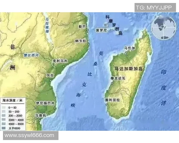 足球明星卡片收藏指南 玩转全球球员数据与价值解析