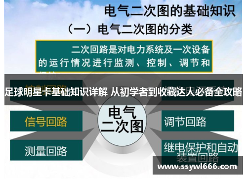 足球明星卡基础知识详解 从初学者到收藏达人必备全攻略