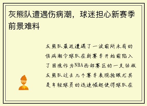 灰熊队遭遇伤病潮，球迷担心新赛季前景难料